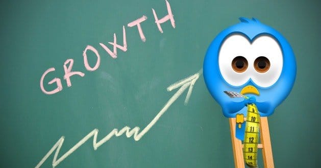 Ways-to-Measure-Your-Twitter-Profile-Growth