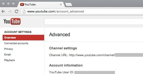 url youtube shortener