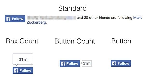 Facebook Follow Count Button