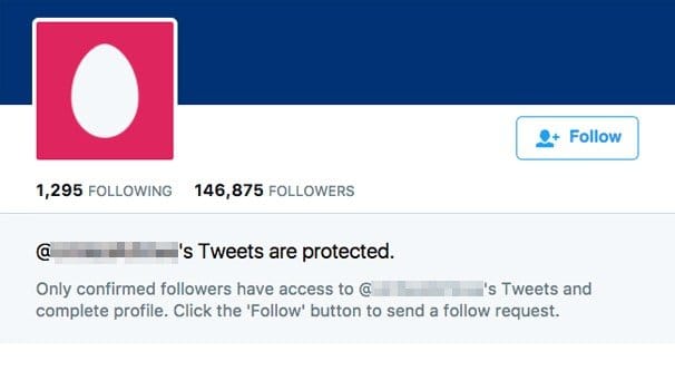 Example Protected Twitter Account