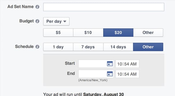 Facebook Ads Budget Section