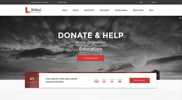 Donation Page on Charity Website